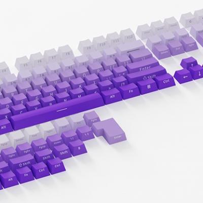 OEM Gradient Purple